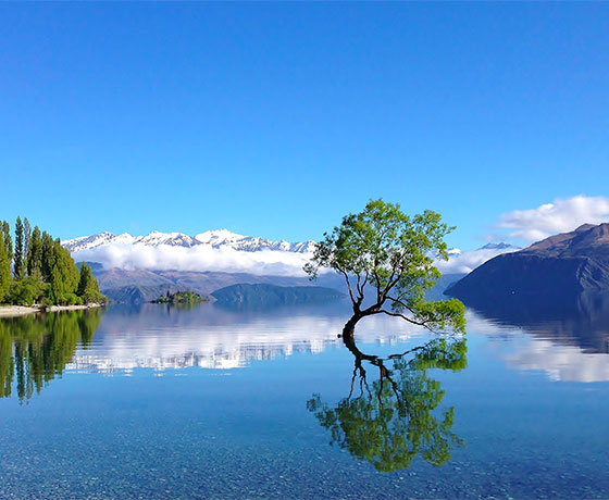 Lake Wanaka