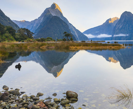 Milford Sound Cruises & Tours