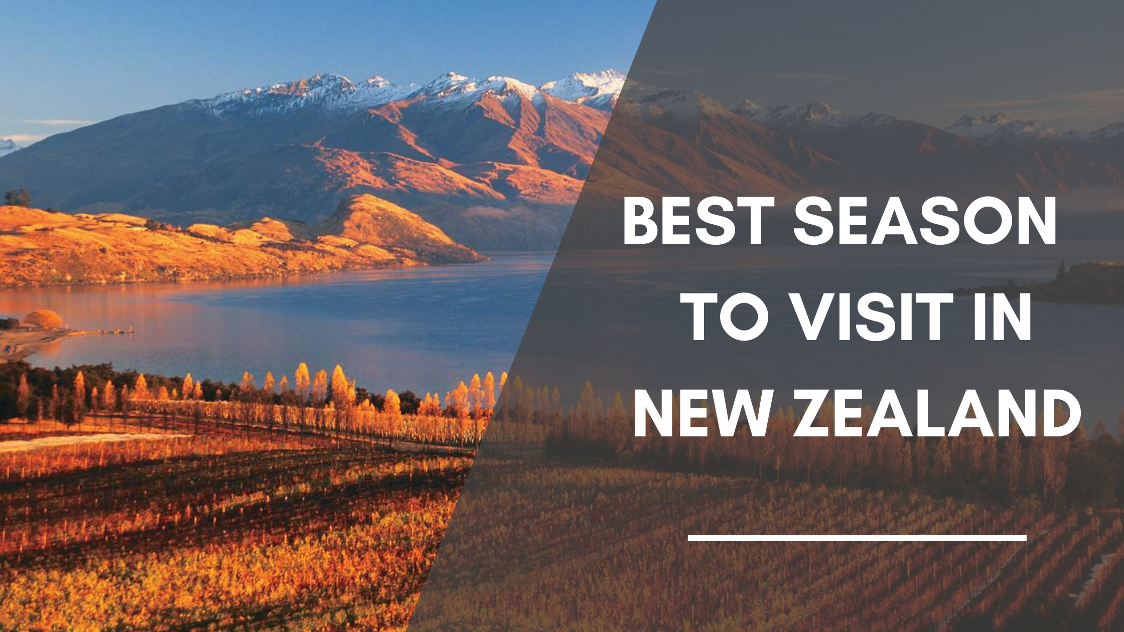 When to Go New Zealand for Vacations? Check Out Best Travel Season in New Zealand